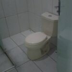 Galeria de Imagens