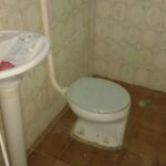 Galeria de Imagens