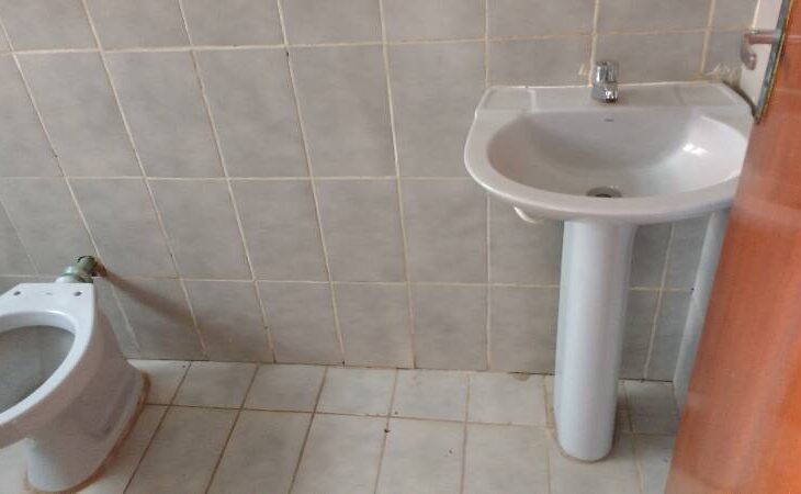 Galeria de Imagens