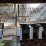 Galeria de Imagens