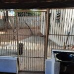Galeria de Imagens