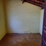 Galeria de Imagens