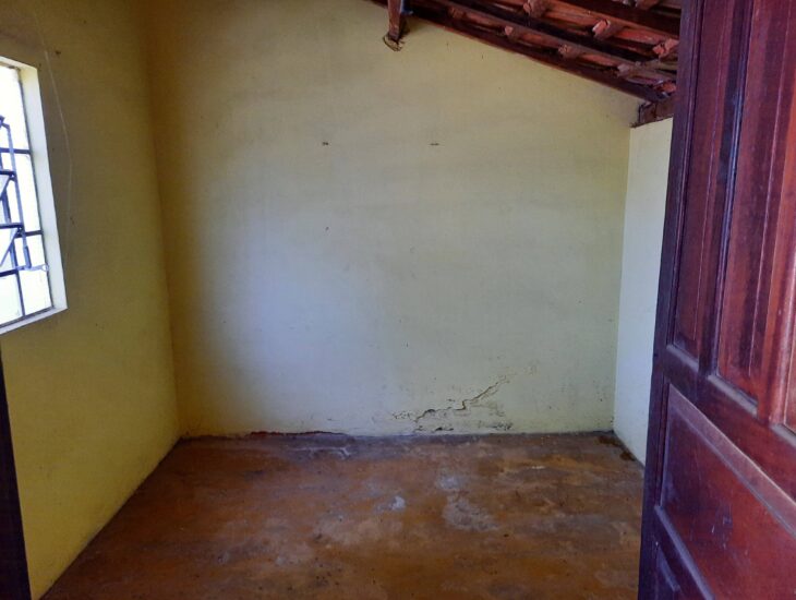 Galeria de Imagens