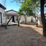 Galeria de Imagens