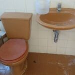 Galeria de Imagens