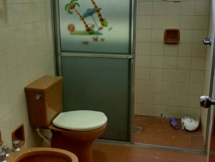 Galeria de Imagens