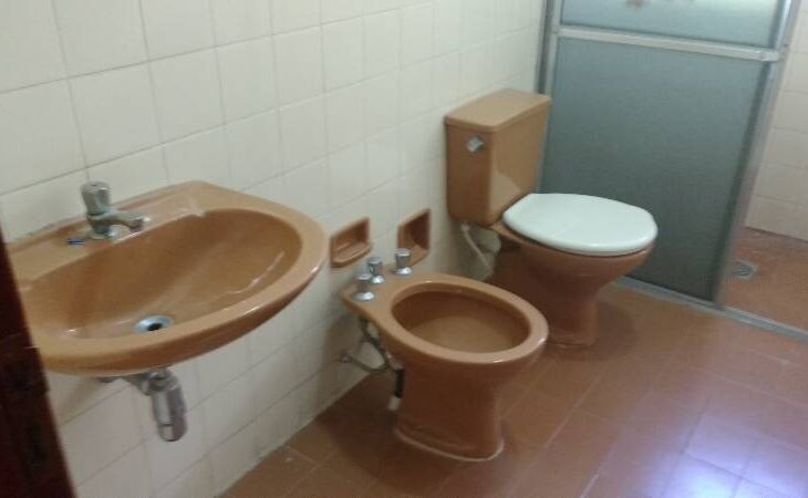 Galeria de Imagens
