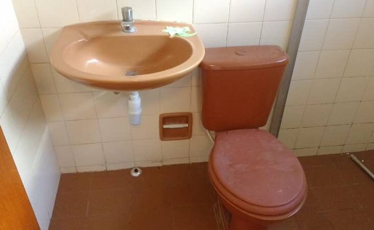 Galeria de Imagens