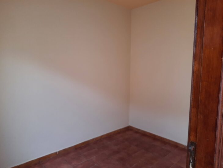 Galeria de Imagens