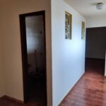 Galeria de Imagens