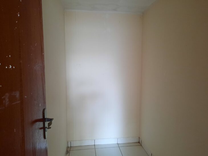 Galeria de Imagens