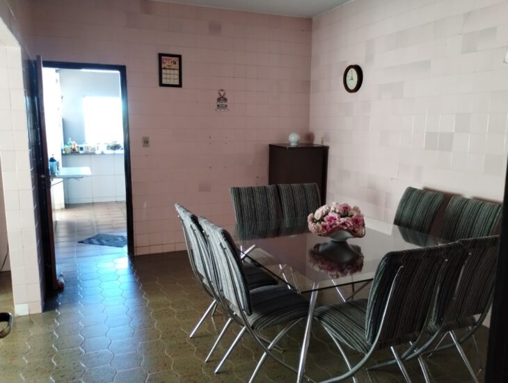 Galeria de Imagens