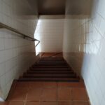 Galeria de Imagens