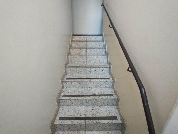 Galeria de Imagens
