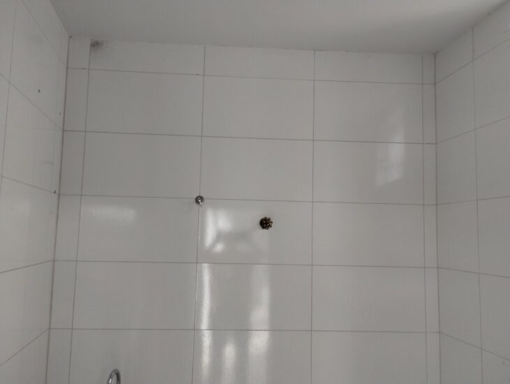 Galeria de Imagens