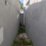 Galeria de Imagens