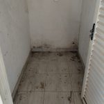 Galeria de Imagens