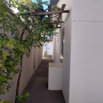 Galeria de Imagens