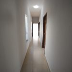 Galeria de Imagens