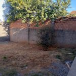 Galeria de Imagens