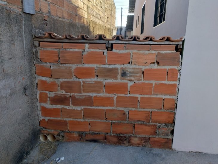 Galeria de Imagens