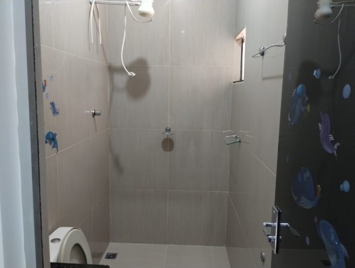 Galeria de Imagens