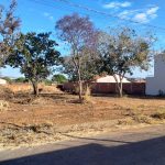 Galeria de Imagens