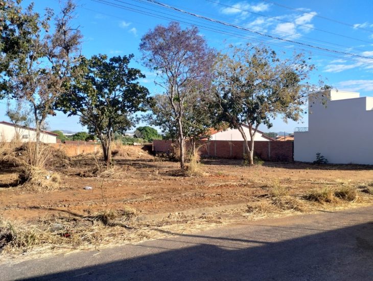 Galeria de Imagens