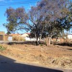 Galeria de Imagens