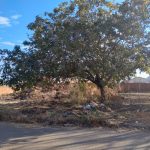 Galeria de Imagens