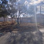 Galeria de Imagens