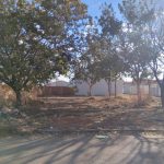 Galeria de Imagens
