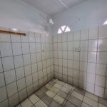 Galeria de Imagens